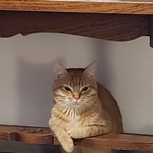 Meet your Posher, Camy